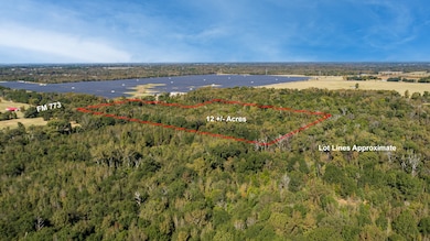 10081 Farm To Market Road 773, Ben Wheeler, TX 75754 - photo 7