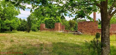 3437 Greene 715 Rd, Paragould, AR 72450 - photo 5