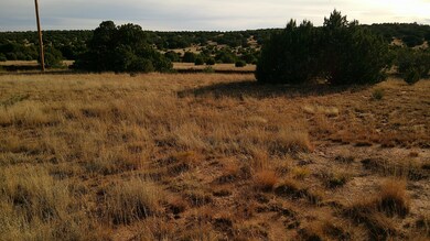 0 N Us-84, Las Vegas, NM 87701 - photo 6