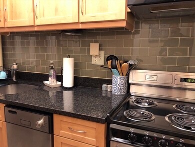 24 Peterborough St unit 9, Boston, MA 02215 - photo 5