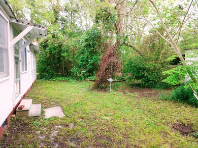 Back door steps
