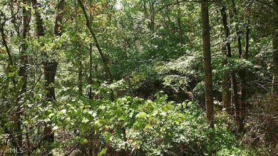 0 Nicklesville Rd NE unit 9637 8073887, Ranger, GA 30734 - photo 7