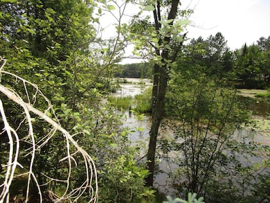 ON Peninsula Dr, Phillips, WI 54555 - photo 3