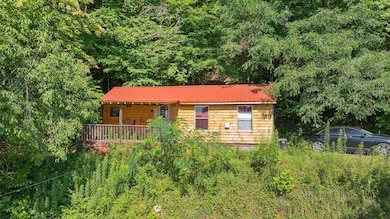 1186 Thornhill Dr, Sylva, NC 28779 - photo 3