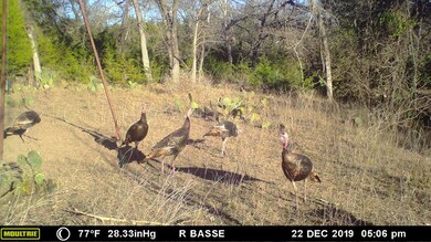 173 Basse Ln, Fredericksburg, TX 78624 - photo 4