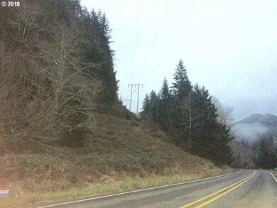 0 Miami Foley Rd unit 18295258, Nehalem, OR 97131 - photo 6