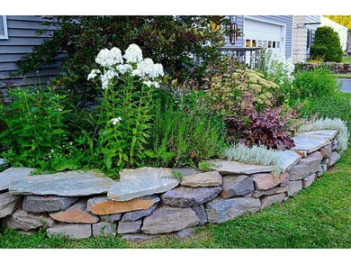 Yard/Garden.