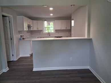 1904 Elise Dr, Columbia, SC 29210 - photo 4