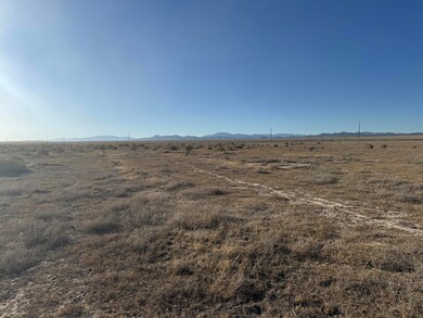003. 2 Acre - Looking West