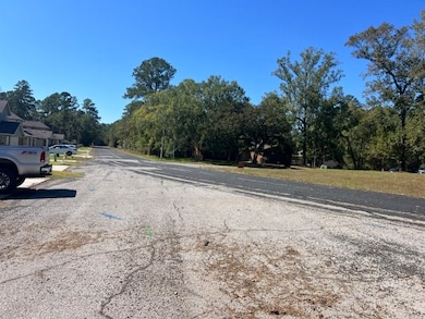 24604 Pools Creek Dr, Huntsville, TX 77320 - photo 2