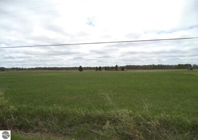 VL Curtis Rd, Hale, MI 48739 - photo 2
