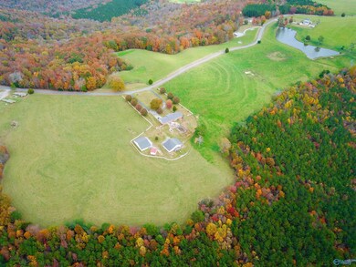 38.37 Acres Latham Rd, Eva, AL 35621 - photo 4