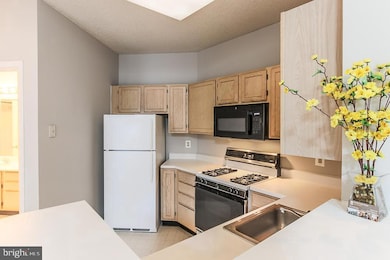 14322 Climbing Rose Way unit 304, Centreville, VA 20121 - photo 6