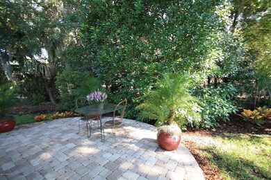 Back Patio View 3