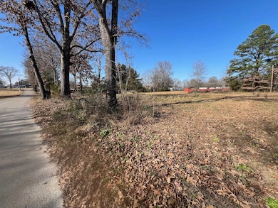 135 Gean Ln, Savannah, TN 38372 - photo 7