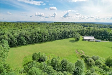 49 Cat Trail, Williamstown, NY 13493 - photo 5