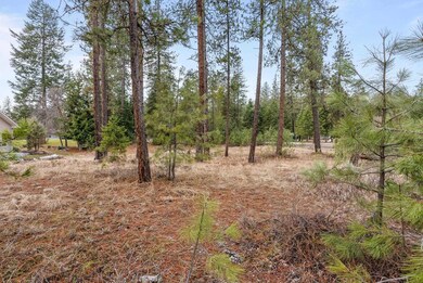 102 Birdie Trail, Chewelah, WA 99109 - photo 5