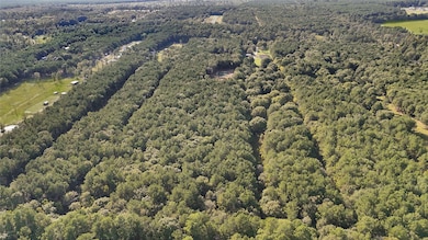 1583 County Road 3011, Dayton, TX 77535 - photo 3