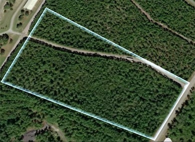 0 S Palm St unit 1656795, Jesup, GA 31546 - photo 4