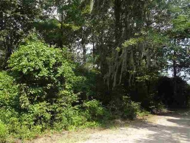 Lot 30 Paulette Dr unit 5, Crawfordville, FL 32327 - photo 2