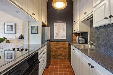 163 W Canton St unit 2, Boston, MA 02118 - photo 4