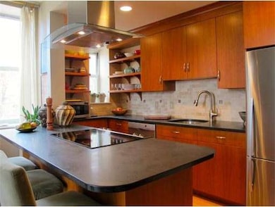 41 Morton St unit 19, Jamaica Plain, MA 02130 - photo 5