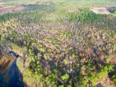 3391 Davis Bridge Rd, Williston, SC 29853 - photo 5