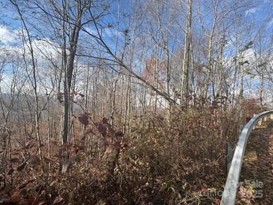 50 Scenic Wolf Ridge Rd, Mars Hill, NC 28754 - photo 3