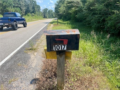 1017 Anchor Lake Rd, Carriere, MS 39426 - photo 2