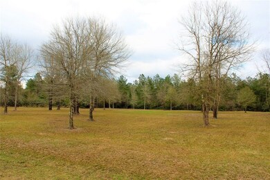 2042 White Buck Ct, Cleveland, TX 77328 - photo 5