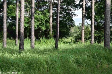 32534 County Road 64 Extension, Robertsdale, AL 36567 - photo 4