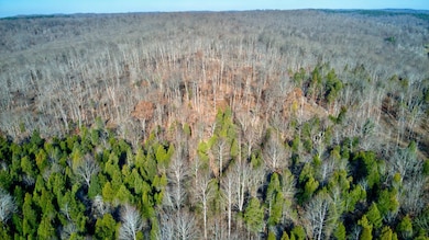 0 Lancaster Rd, Branchville, IN 47514 - photo 2