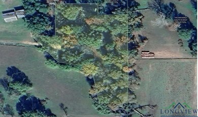 6296 Farm To Market 856, Troup, TX 75789 - photo 3