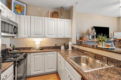 159 M St unit 2, Boston, MA 02127 - photo 7