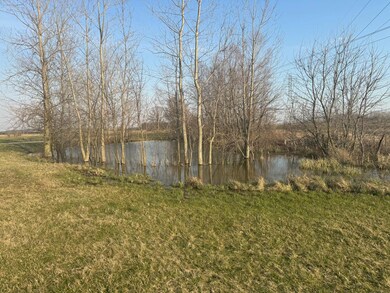Pond