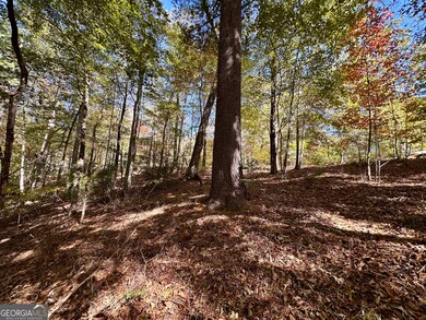 0 Forked Leaf Rd unit 29 10594626, Cleveland, GA 30528 - photo 6