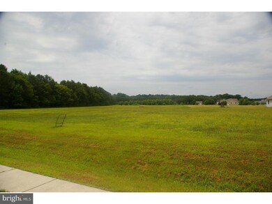 24610 Hollytree Cir, Georgetown, DE 19947 - photo 3