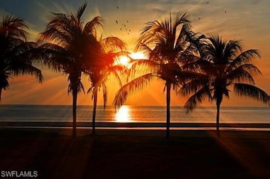 Sunrise with a cup of coffee.  All grassy areas ar