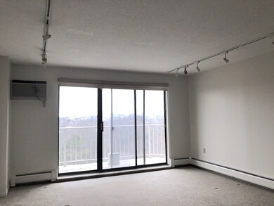 151 Coolidge Ave unit 605, Watertown, MA 02472 - photo 3