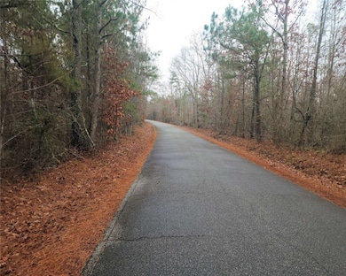 00 Scott Ln, Pelzer, SC 29669 - photo 2