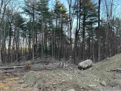 2-47 Old Amherst Rd, Mont Vernon, NH 03057 - photo 5