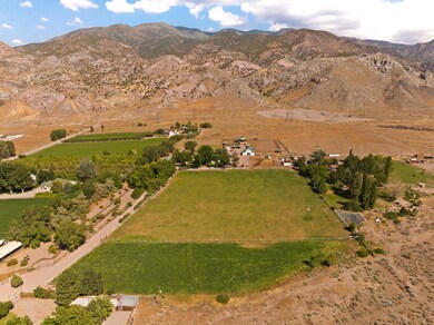 5 - 442_E_ValleyViewLn_MLS-8