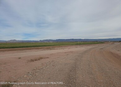 255 Tulie Gate Rd, Tularosa, NM 88352 - photo 5