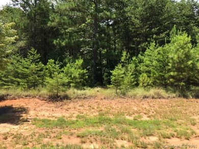 PATHWAY CLEARED FOR EASY ACCESS TO LOT