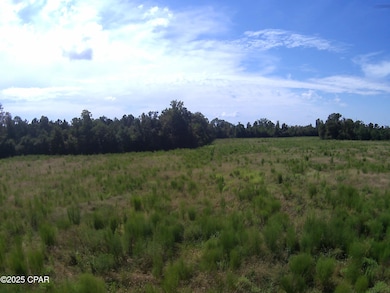 TBD Mashburn Rd, Marianna, FL 32448 - photo 2