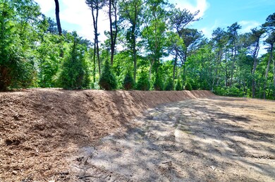 6 Major's Cove Ln, Edgartown, MA 02539 - photo 7