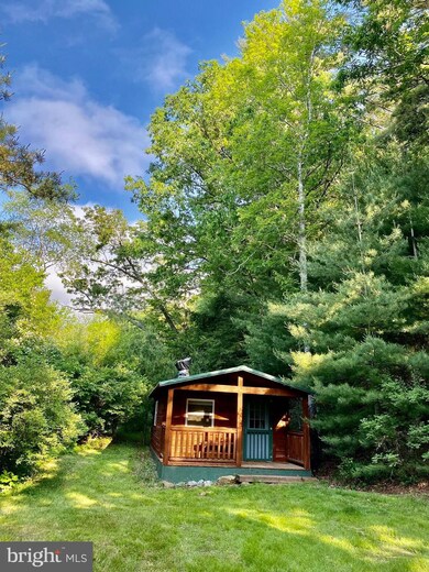 Lot #9 Native Trout Ln, Sugar Grove, WV 26815 - photo 2