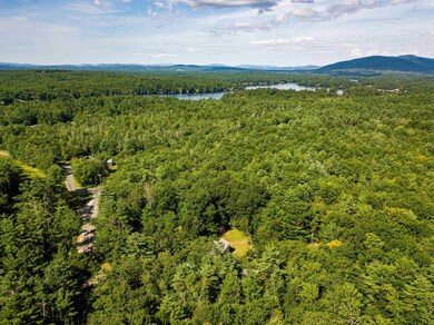 00 Governor Wentworth Hwy unit 160/002/000, Moultonboro, NH 03254 - photo 2