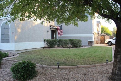 Sundance front grass