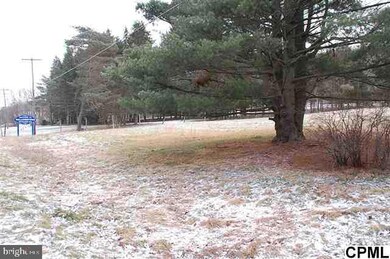 9162 State Route 209, Williamstown, PA 17098 - photo 4